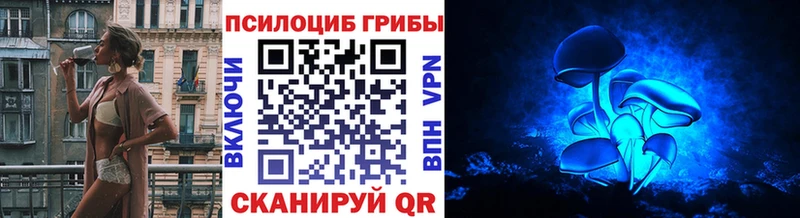 Псилоцибиновые грибы мухоморы сайты даркнета официальный сайт Ханты-Мансийск купить закладку ссылка на мегу ТОР